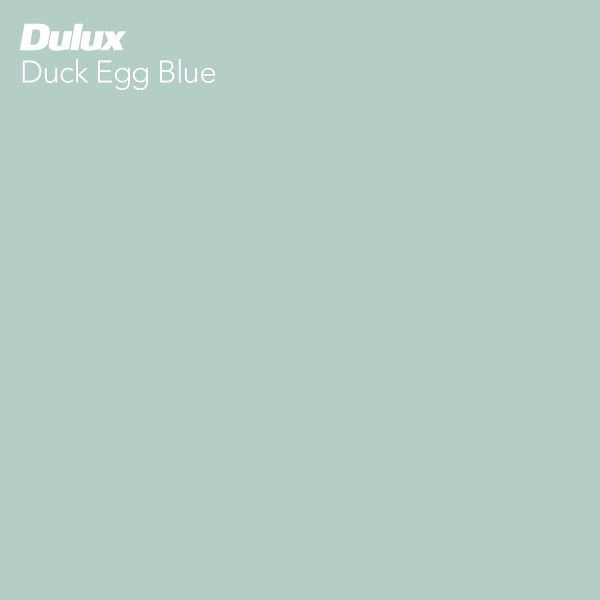 Duck Egg Blue Paint Swatch