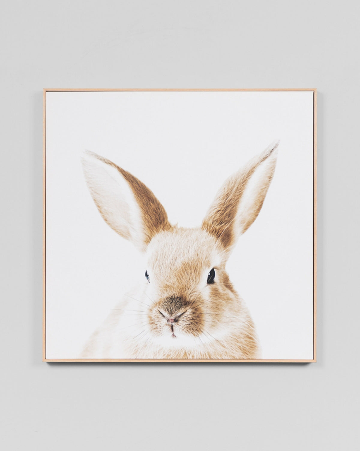 Add the perfect finishing touch to your kid's space with this adorable bunny.  Stretched cotton blend canvas, timber veneer outer frame, pine stretched backing frame. This canvas is fitted with cord for hanging. We advise contacting a professional picture hanger to install your canvas with the correct wall fixtures for your specific wall type.  Turnaround time: 1-2 weeks  84W x 84H x 8D cm