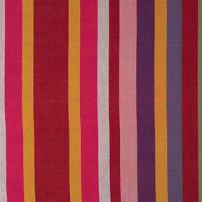 Spice Stripe Fabric
