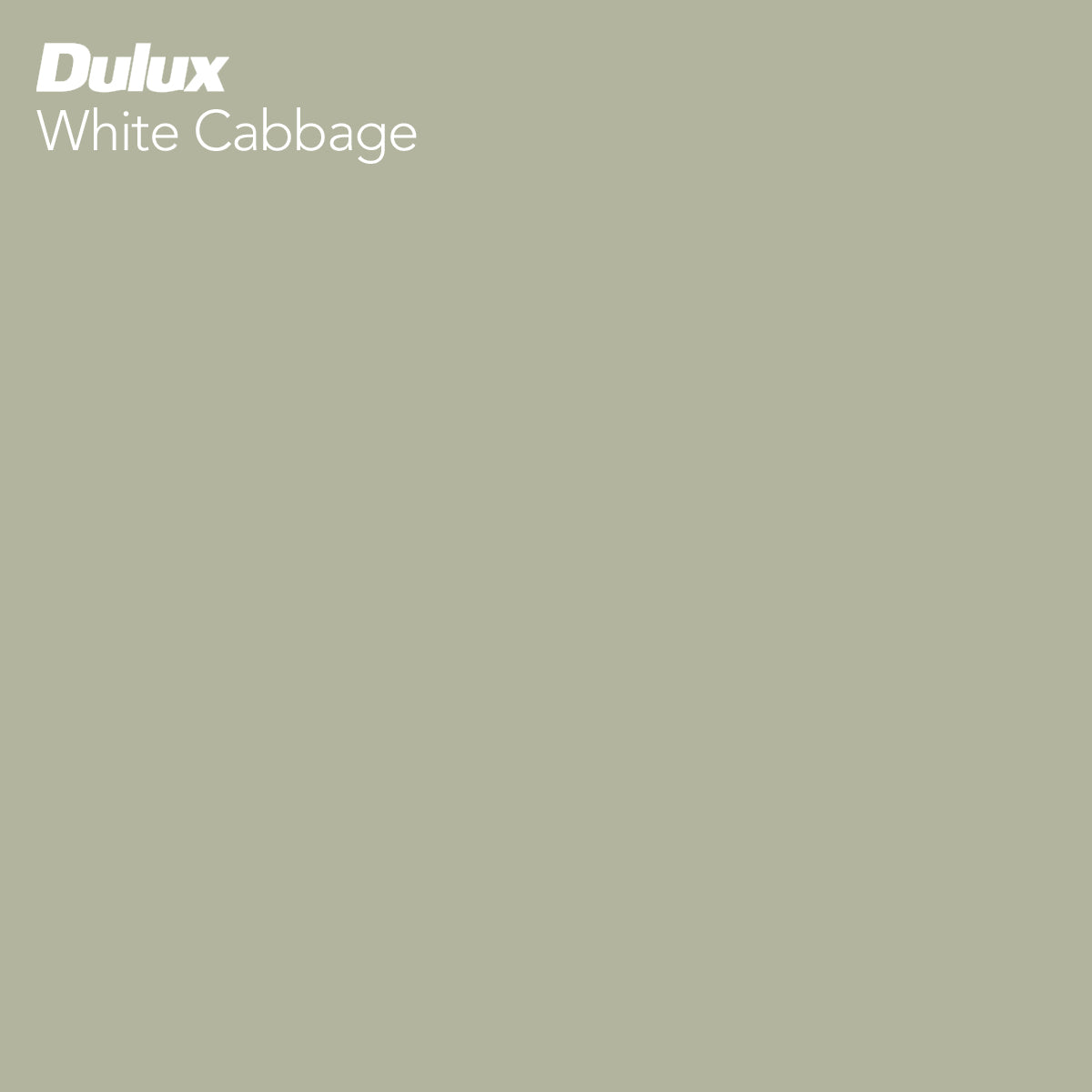 The calming green of Dulux White Cabbage offers a soothing and comforting feel for kids interiors.  With its organic feel it pairs perfectly with our Tasmanian Oak furniture; and is featured in our Scoop Colour and Colour Box collections of kids' furniture.  Order your free paint swatch today.