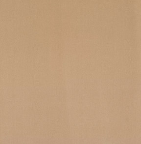 Plush Fabric