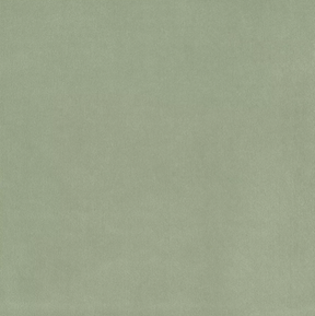 Plush Fabric