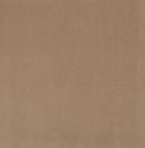 Plush Fabric