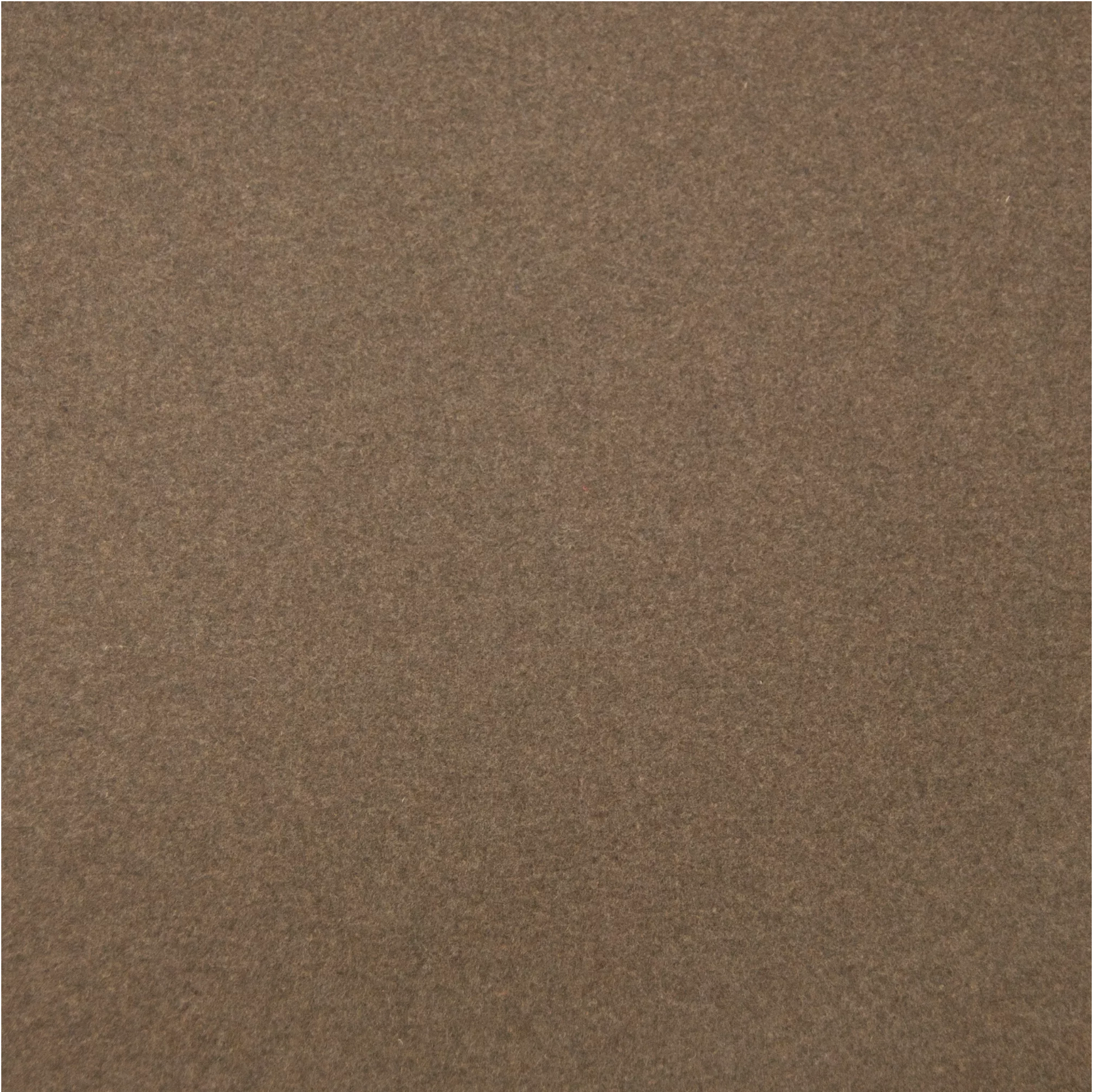 Augustus Fabric Sample