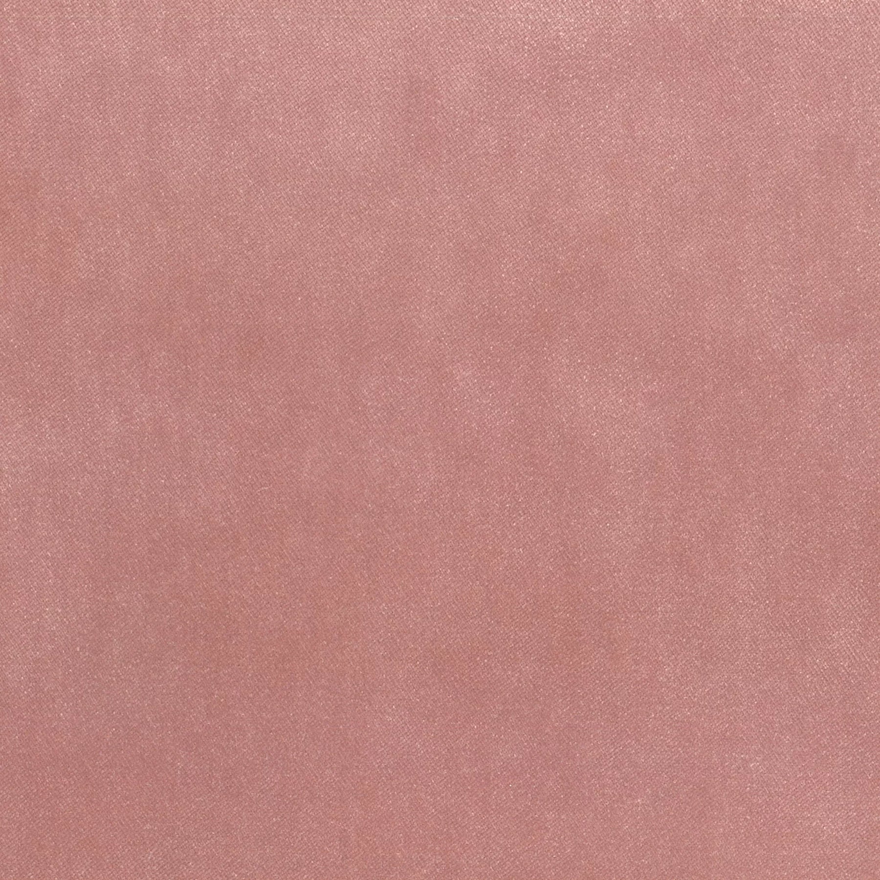Theodora Fabric Sample