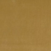 Theodora Fabric Sample