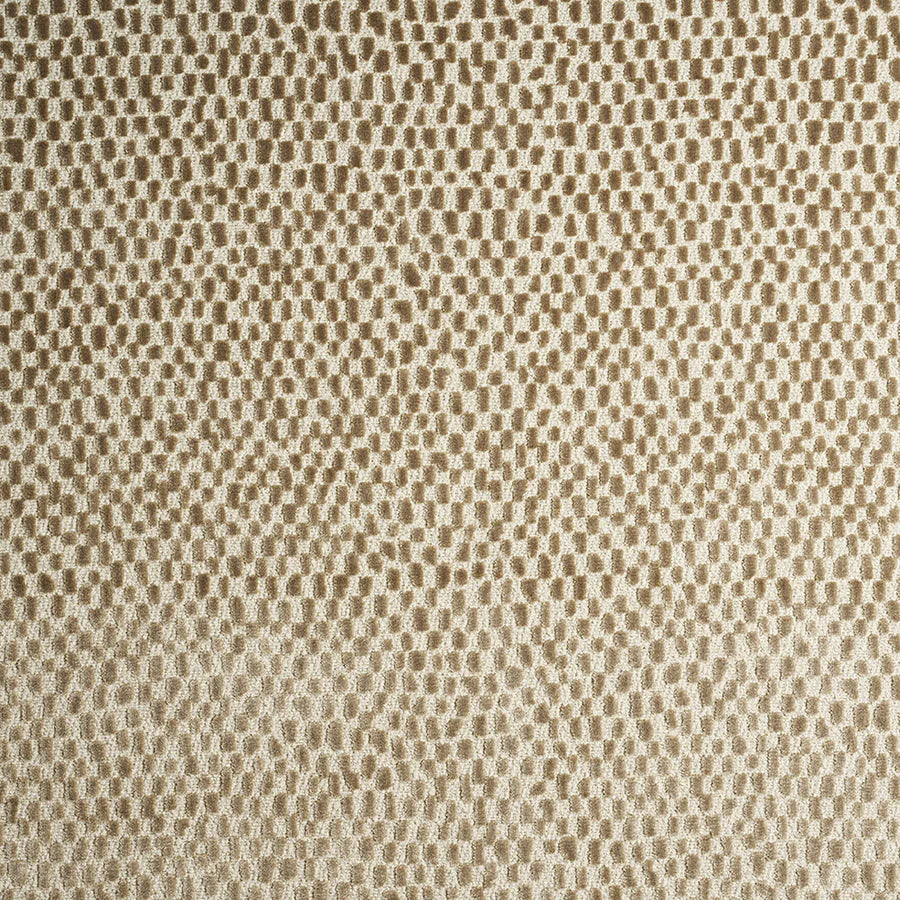 Zola Fabric Sample