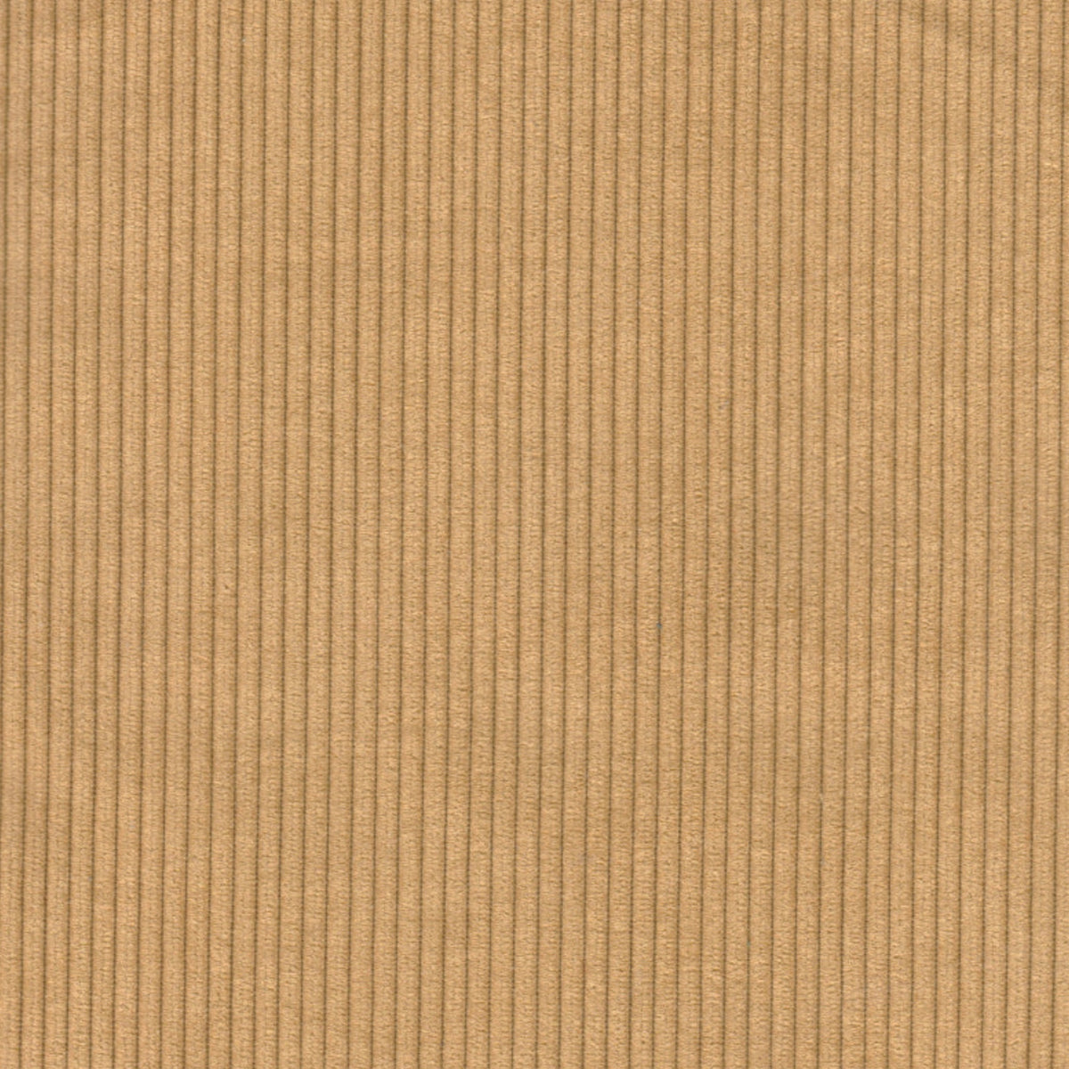 Aspen Corduroy Fabric Sample