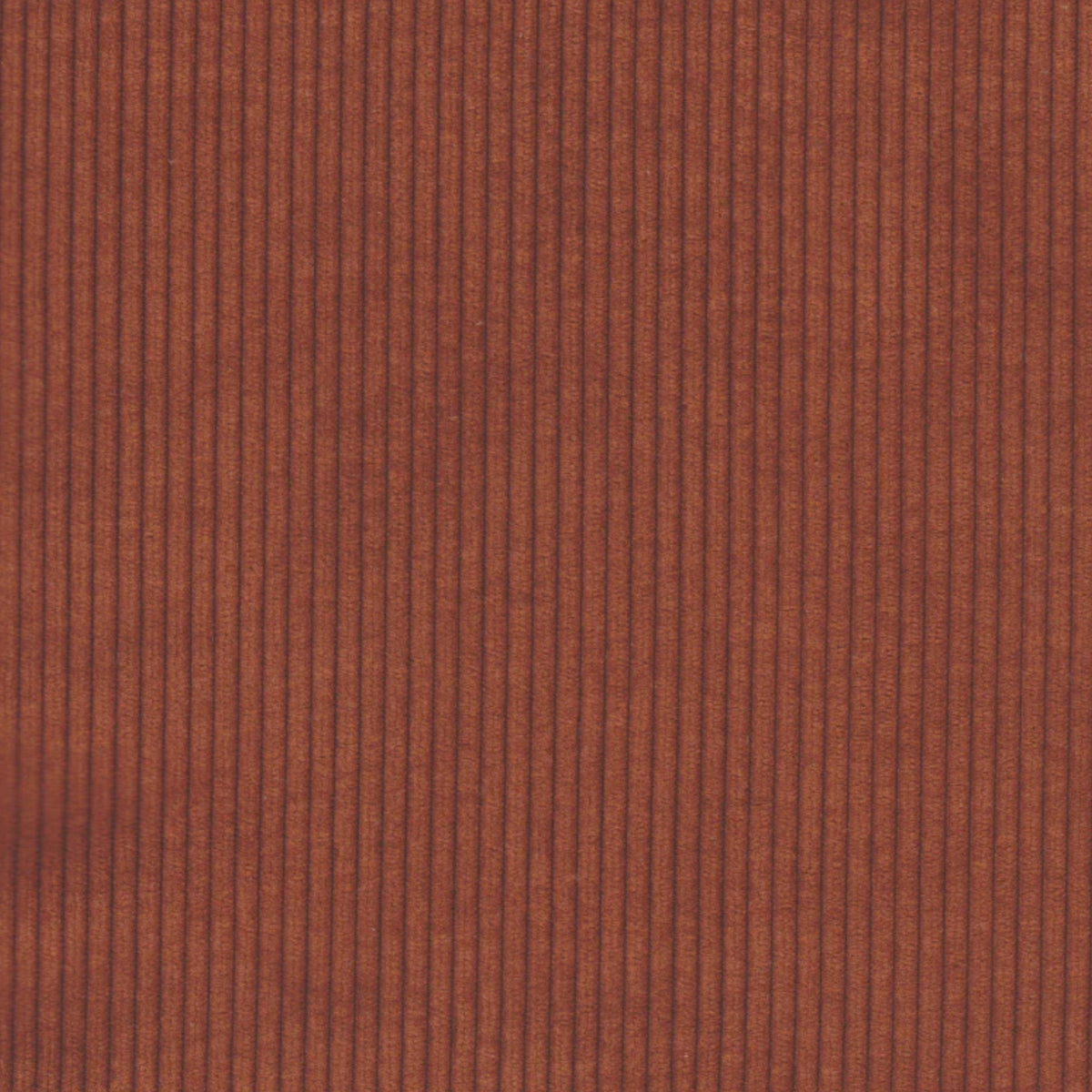 Aspen Corduroy Fabric Sample