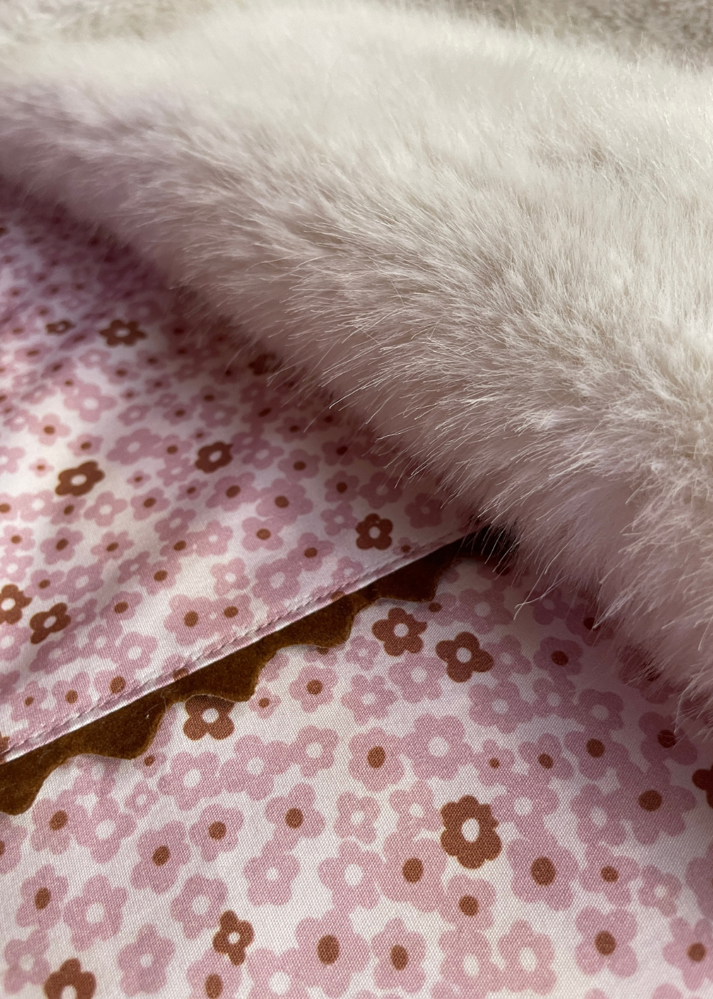 Hare Plush Fabric Sample