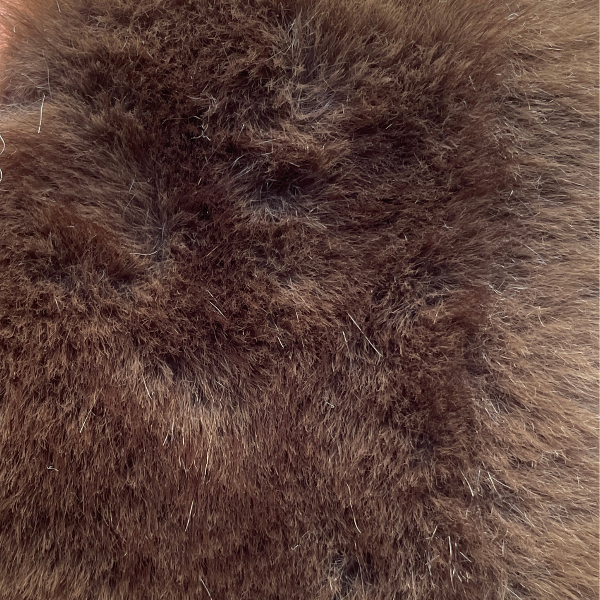 Hare Plush Fabric Sample