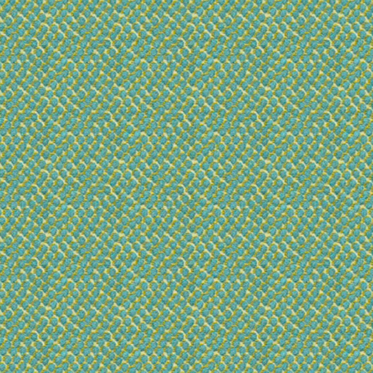 Dazy Dot Fabric Sample